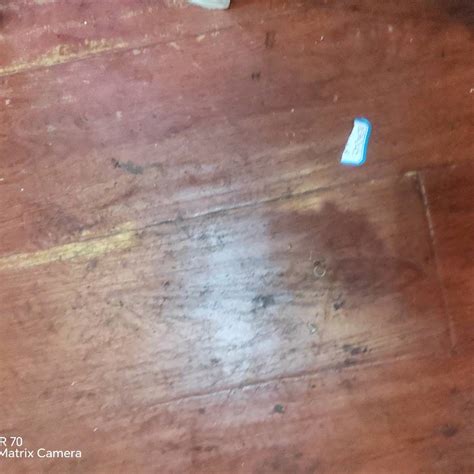 登录器 金年会体育